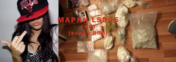 ГАЛЛЮЦИНОГЕННЫЕ ГРИБЫ Белоозёрский