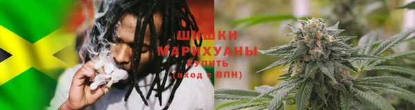 ГАЛЛЮЦИНОГЕННЫЕ ГРИБЫ Белоозёрский