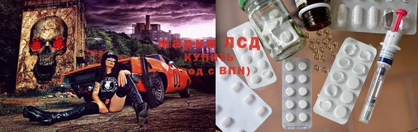 ГАЛЛЮЦИНОГЕННЫЕ ГРИБЫ Белоозёрский
