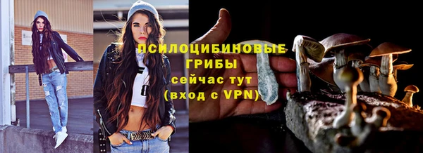 ГАЛЛЮЦИНОГЕННЫЕ ГРИБЫ Белоозёрский
