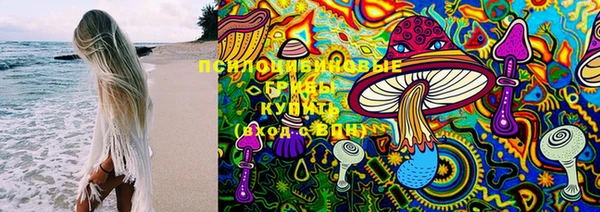 меф Белокуриха